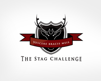 The Stag Challenge
