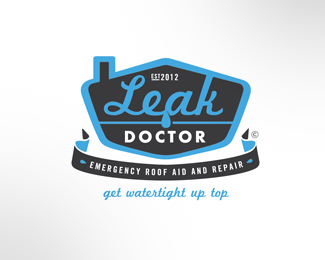 Leak Doctor option 2