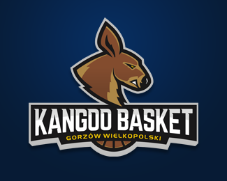Kangoo Basket